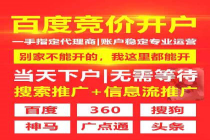 SEM推广竞价策略案例分析